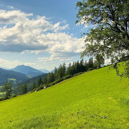 Almhaus Vorleithen * Spital Am Pyhrn